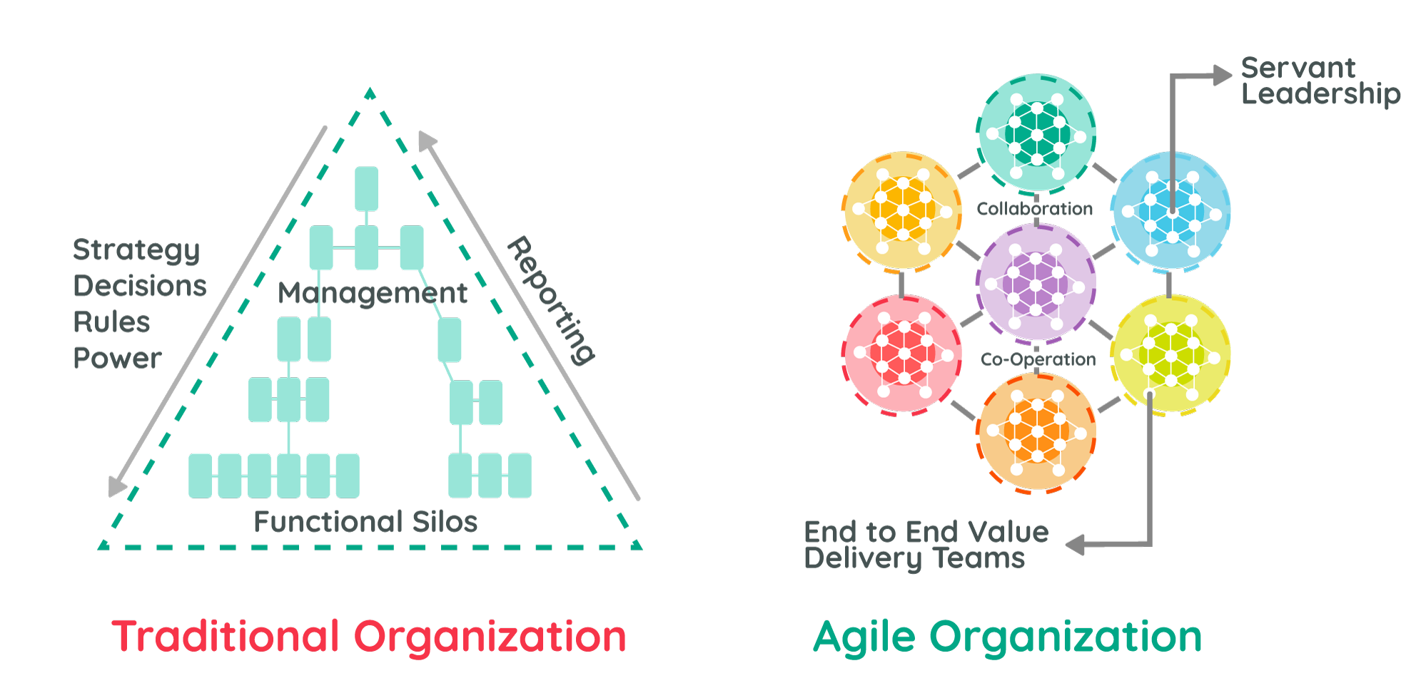 Agile Organization